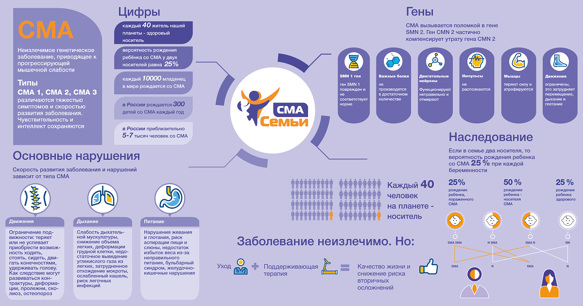 Спецпроект БФ Семьи СМА - Краткие факты о СМА